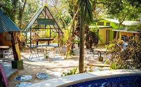 Pura Vida Mini Hostel Santa Teresa