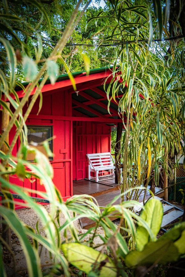 Pura Vida Mini Hostel Santa Teresa Playa Santa Teresa  Extérieur photo