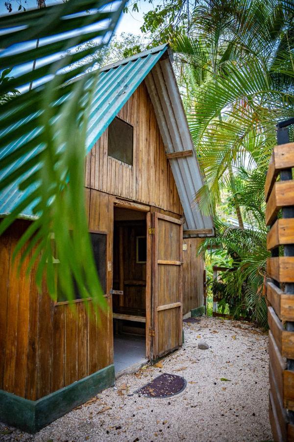 Pura Vida Mini Hostel Santa Teresa Playa Santa Teresa  Extérieur photo
