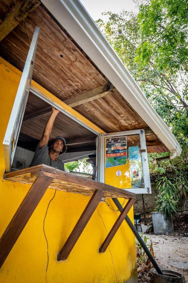 Pura Vida Mini Hostel Santa Teresa Playa Santa Teresa  Extérieur photo