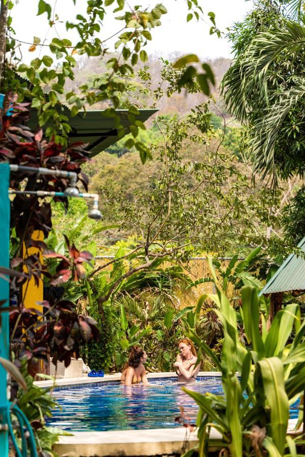 Pura Vida Mini Hostel Santa Teresa Playa Santa Teresa  Extérieur photo
