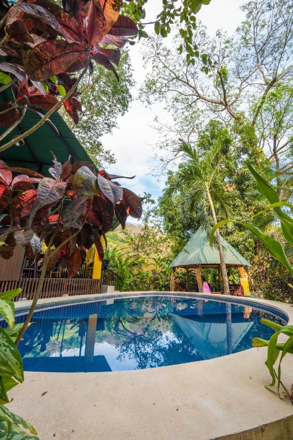 Pura Vida Mini Hostel Santa Teresa Playa Santa Teresa  Extérieur photo