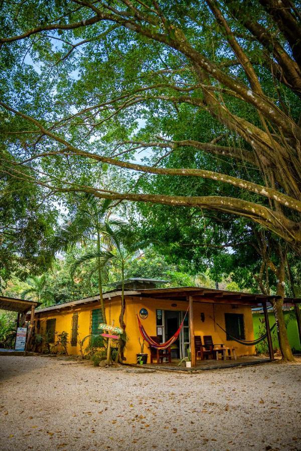 Pura Vida Mini Hostel Santa Teresa Playa Santa Teresa  Extérieur photo