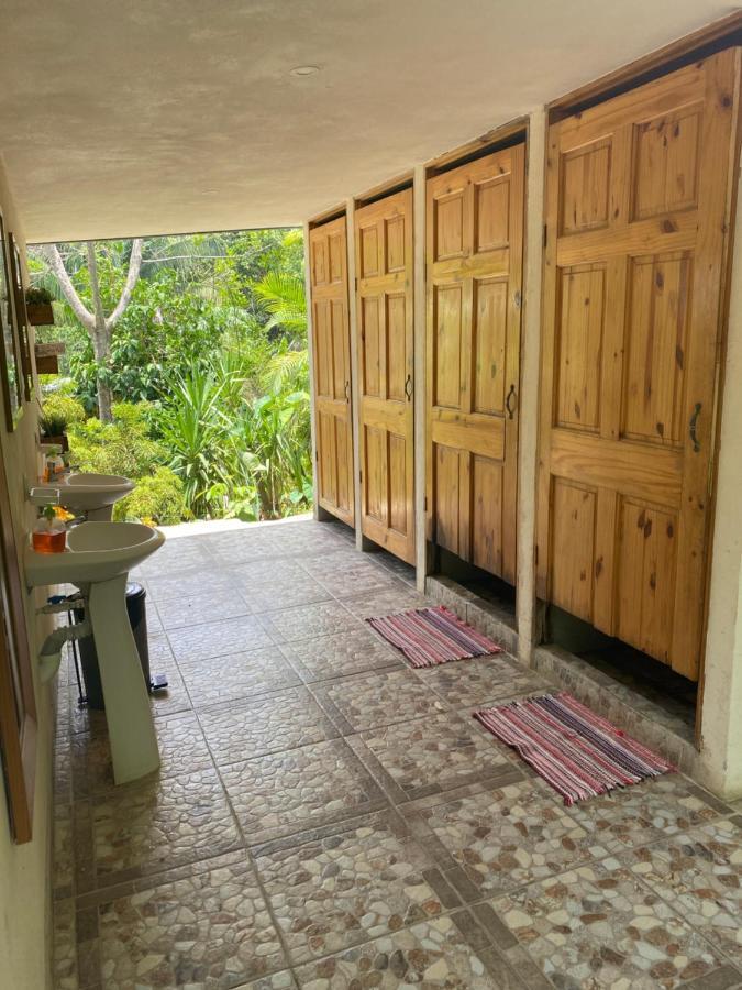 Pura Vida Mini Hostel Santa Teresa Playa Santa Teresa  Extérieur photo