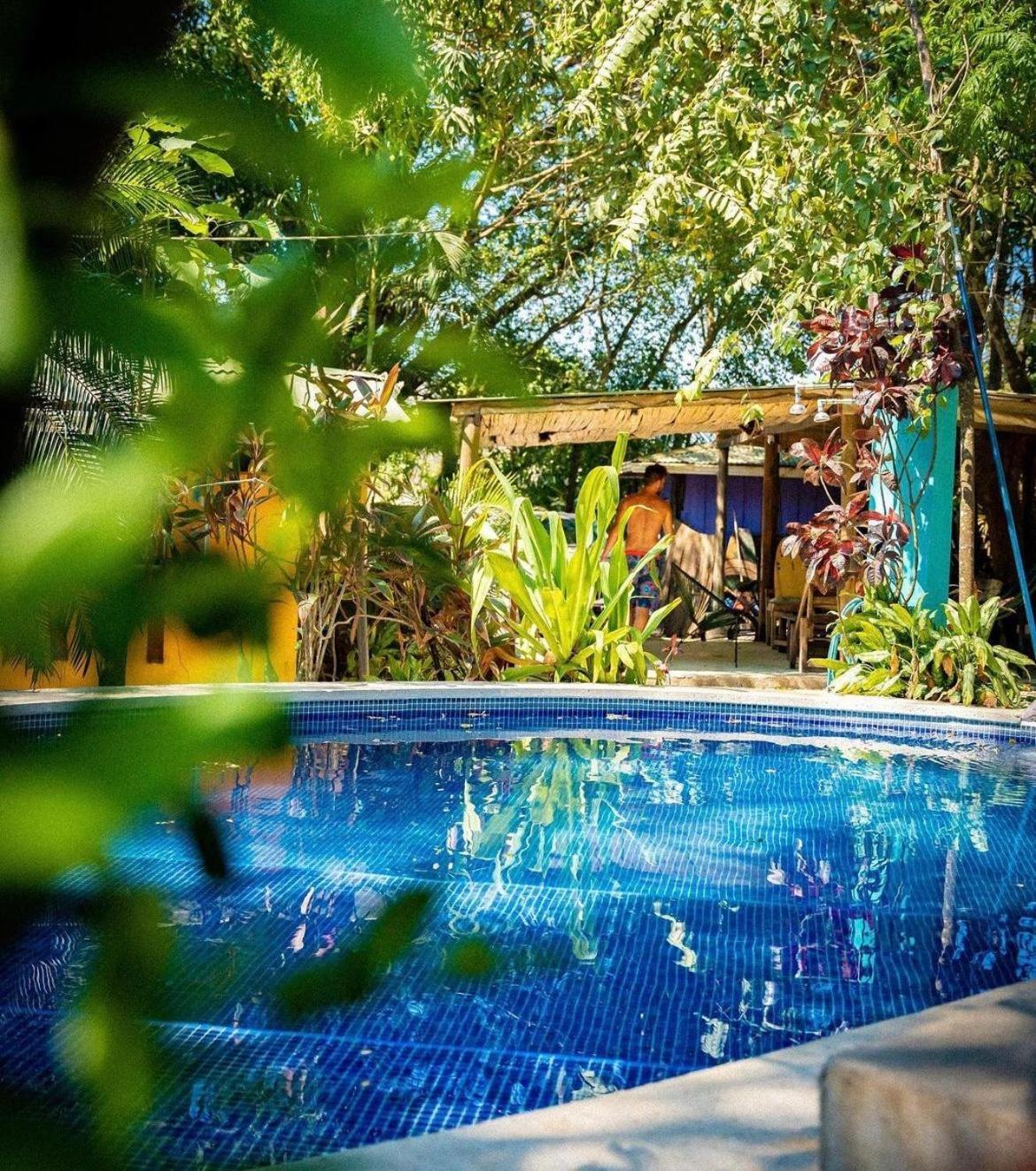 Pura Vida Mini Hostel Santa Teresa Playa Santa Teresa  Extérieur photo
